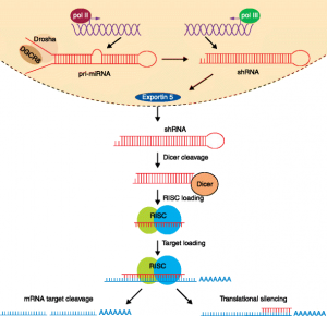 Source: Genome Medicine